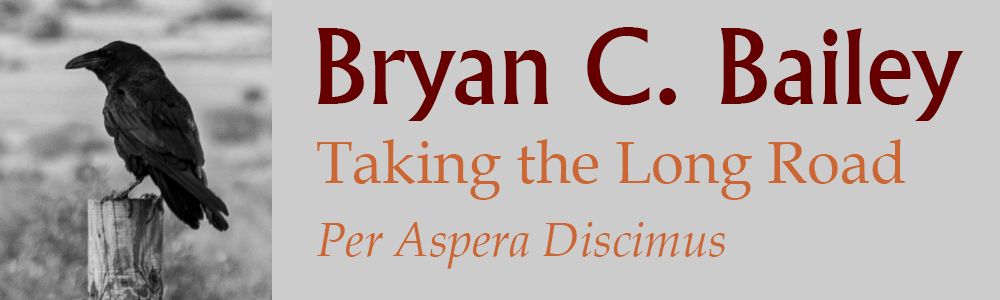 bryan bailey's logo