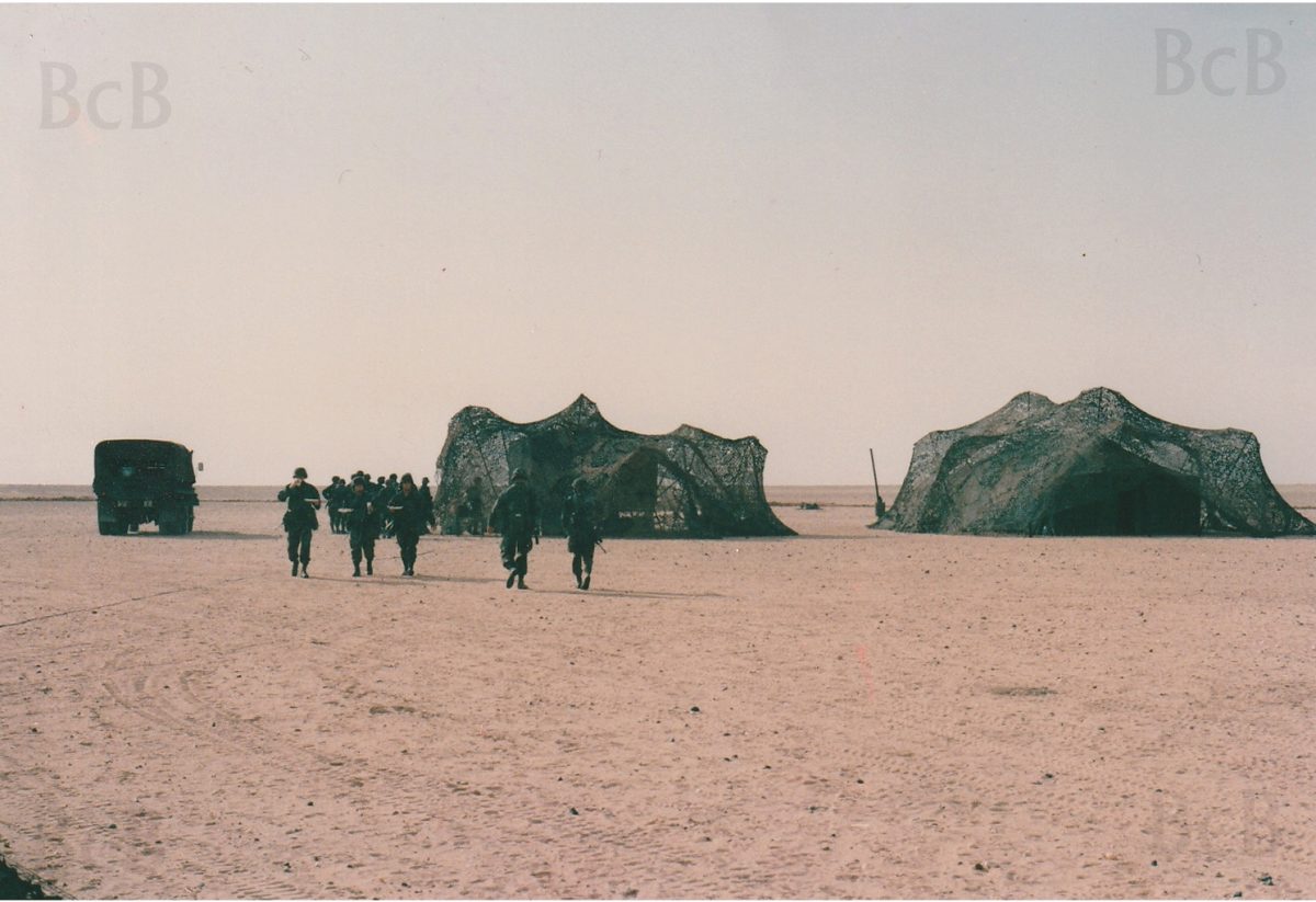 xmas desert shield
