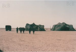 xmas desert shield