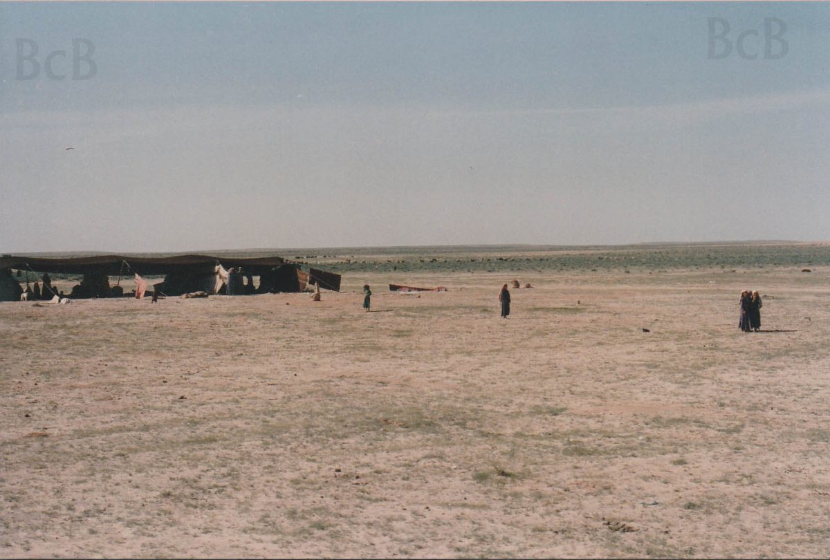 Bedouins