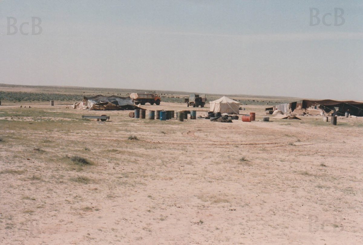 Bedouins