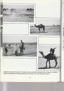 9th Eng. Bn. Desert Storm page-93